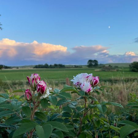 Droemhus Pa Oesterlen Glemminge Esterno foto